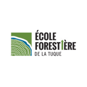 forestiere